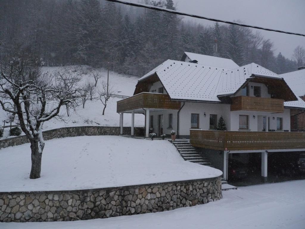 Apartment Brumec Bohinji-tó Kültér fotó